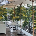 HAUTE COUTURE CAFE OMOTESANDO - 