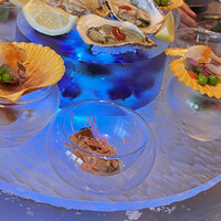 スミレオオサカ -  スミレオオサカ -