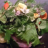 カセント - サラダ