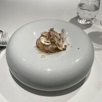 ジョンティ アッシュ - 