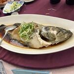 大三元酒樓 - 魚の煮込みは白身の大きな魚の煮込みでした、なんていう魚なのかな？
      
      