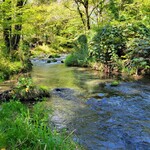 和泉屋傳兵衛 - ハルニレテラスからの景観