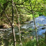 和泉屋傳兵衛 - ハルニレテラスからの景観