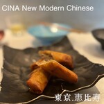 CINA New Modern Chinese - 