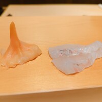 鮨 はしもと - アオヤギとヒラメ