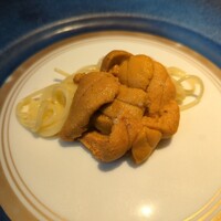 蒼 - 愛媛産赤雲丹の冷製フェデリーニ