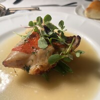 スンガリー 新宿東口本店 - 