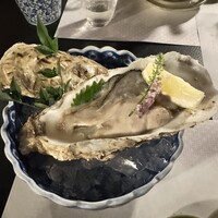 先斗町 魯ビン - 