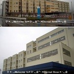 レストランたぬき - 