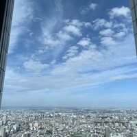 サンシャイン クルーズ・クルーズ - 