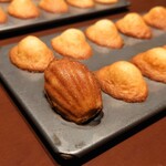 スガラボヴィー - 