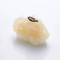 富山産白えび昆布〆