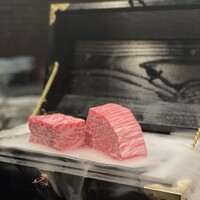 HIKARI - 