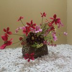 うどん処 杉 - 【2013年09月】店内。