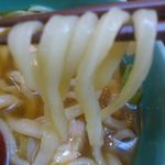 うどん処 杉 - 【2013年09月】この日は太麺無し、通常で、「かしわ」を頂く。