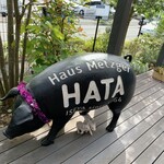 Hausu Mettsuga Hata - かわいらしい店外デコレーションと店内の本気度のギャップよ