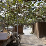 キウイフルーツカントリーJAPAN - 