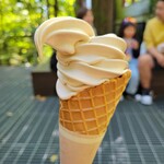 丸山珈琲  - ソフトモカ