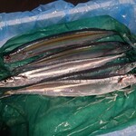 株式会社 磯屋水産 - サンマ5匹