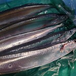 株式会社 磯屋水産 - 今年のサンマ