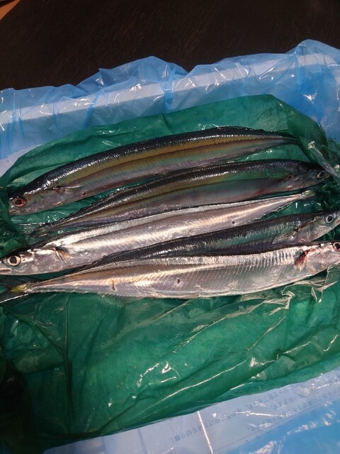 株式会社 磯屋水産（カブシキガイシャ イソヤスイサン） - 南気仙沼（その他）の写真