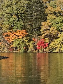 ゆとりろ軽井沢ホテル - タリアセン