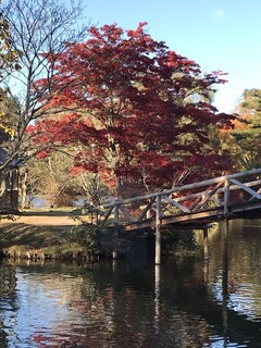 ゆとりろ軽井沢ホテル - タリアセン