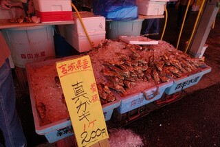 魚売場　森田水産 - 