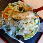 たぬきの国 - チャンポン