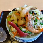 たぬきの国 - チャンポン