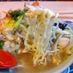 たぬきの国 - チャンポン