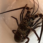 大丸パーラー - 