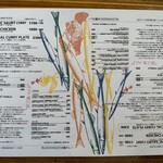 BLOCK HOUSE 水曜カレー - 