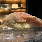 赤坂 鮨大谷 - コース