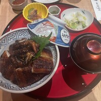 炭焼 うな富士 有楽町店 - 美味しいうなぎ定食！