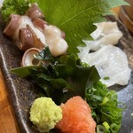 鳥半・魚半 - 生タコ刺し　綺麗な吸盤が素晴らしい