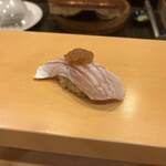 Sushi Koma - 