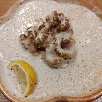 ひぐらし - 