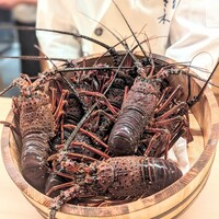 祇園 さゝ木 - 