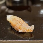 Asabu Juuban Sushi Tomo - ボタン海老