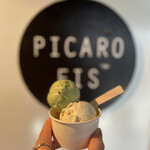 PICARO EIS - 