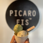 PICARO EIS - 