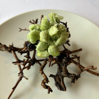 レストラン・モリエール - 