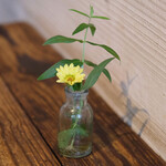 スパイスカフェ - 卓上の花です