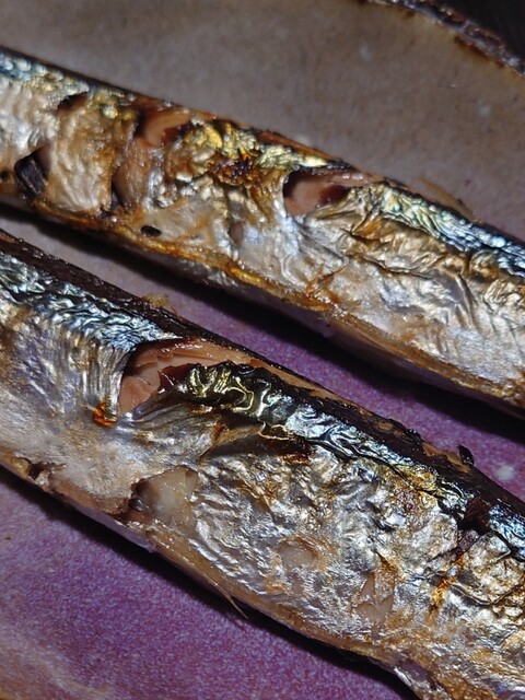 株式会社 磯屋水産（カブシキガイシャ イソヤスイサン） - 南気仙沼（その他）の写真