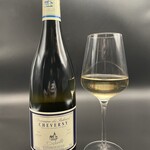 【White Wine Bottle】 Domaine du Salvard~domain du salva~