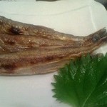 牧野 - (2013/10)シシャモ（雄）