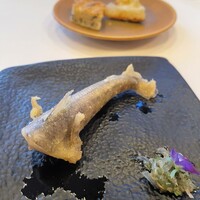 サーラ アマービレ - 