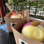 埜蜜喜 - レモンは酸っぱくて夏にピッタリ