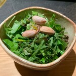 日本焼肉はせ川 別亭 - 生野菜・生落花生と早採り野菜のサラダ